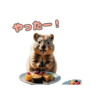 愛らしいクオッカ6（日本語）（個別スタンプ：3）