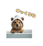 愛らしいクオッカ6（日本語）（個別スタンプ：5）