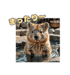 愛らしいクオッカ6（日本語）（個別スタンプ：16）