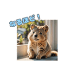 愛らしいクオッカ6（日本語）（個別スタンプ：22）