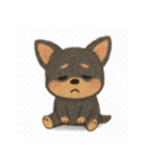 「チワワのきもちスタンプ」（個別スタンプ：11）