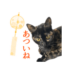 ねこのチョコスタンプ（個別スタンプ：7）