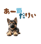 いつでも使えるシェパードの子犬スタンプ（個別スタンプ：1）