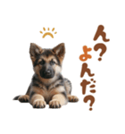 いつでも使えるシェパードの子犬スタンプ（個別スタンプ：2）