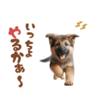いつでも使えるシェパードの子犬スタンプ（個別スタンプ：4）