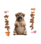 いつでも使えるシェパードの子犬スタンプ（個別スタンプ：10）