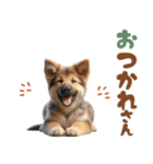 いつでも使えるシェパードの子犬スタンプ（個別スタンプ：12）