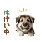 いつでも使えるシェパードの子犬スタンプ（個別スタンプ：21）