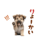 いつでも使えるシェパードの子犬スタンプ（個別スタンプ：28）