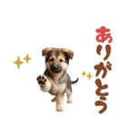 いつでも使えるシェパードの子犬スタンプ（個別スタンプ：29）