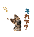 いつでも使えるシェパードの子犬スタンプ（個別スタンプ：30）