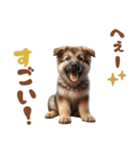 いつでも使えるシェパードの子犬スタンプ（個別スタンプ：31）