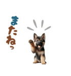 いつでも使えるシェパードの子犬スタンプ（個別スタンプ：32）