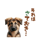 いつでも使えるシェパードの子犬スタンプ（個別スタンプ：33）