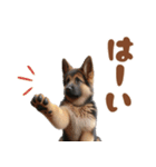 いつでも使えるシェパードの子犬スタンプ（個別スタンプ：35）