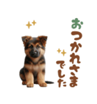 いつでも使えるシェパードの子犬スタンプ（個別スタンプ：36）