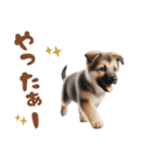 いつでも使えるシェパードの子犬スタンプ（個別スタンプ：37）