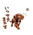 いつでも使えるアメコカの子犬スタンプ（個別スタンプ：5）