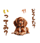いつでも使えるアメコカの子犬スタンプ（個別スタンプ：11）