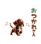いつでも使えるアメコカの子犬スタンプ（個別スタンプ：12）
