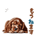 いつでも使えるアメコカの子犬スタンプ（個別スタンプ：13）