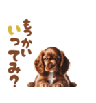 いつでも使えるアメコカの子犬スタンプ（個別スタンプ：14）