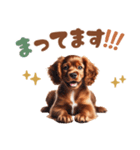 いつでも使えるアメコカの子犬スタンプ（個別スタンプ：16）