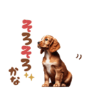 いつでも使えるアメコカの子犬スタンプ（個別スタンプ：17）