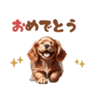 いつでも使えるアメコカの子犬スタンプ（個別スタンプ：19）