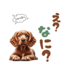 いつでも使えるアメコカの子犬スタンプ（個別スタンプ：20）