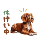 いつでも使えるアメコカの子犬スタンプ（個別スタンプ：21）
