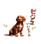 いつでも使えるアメコカの子犬スタンプ（個別スタンプ：23）