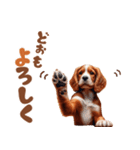 いつでも使えるアメコカの子犬スタンプ（個別スタンプ：24）