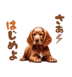 いつでも使えるアメコカの子犬スタンプ（個別スタンプ：27）