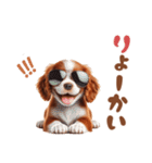 いつでも使えるアメコカの子犬スタンプ（個別スタンプ：28）