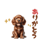 いつでも使えるアメコカの子犬スタンプ（個別スタンプ：29）