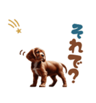 いつでも使えるアメコカの子犬スタンプ（個別スタンプ：30）