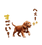 いつでも使えるアメコカの子犬スタンプ（個別スタンプ：31）