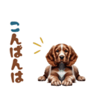 いつでも使えるアメコカの子犬スタンプ（個別スタンプ：34）