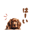 いつでも使えるアメコカの子犬スタンプ（個別スタンプ：35）