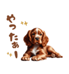 いつでも使えるアメコカの子犬スタンプ（個別スタンプ：37）