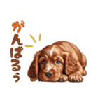 いつでも使えるアメコカの子犬スタンプ（個別スタンプ：39）