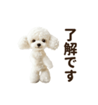 ▶︎踊る！もふもふトイプー♡（個別スタンプ：3）
