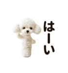 ▶︎踊る！もふもふトイプー♡（個別スタンプ：4）