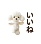 ▶︎踊る！もふもふトイプー♡（個別スタンプ：5）