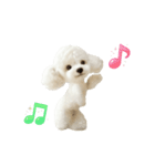 ▶︎踊る！もふもふトイプー♡（個別スタンプ：18）