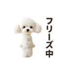 ▶︎踊る！もふもふトイプー♡（個別スタンプ：22）