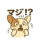 ふれんち犬（個別スタンプ：25）