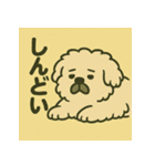 ゆるふわ動物︎たち ︎ ︎ ︎（個別スタンプ：31）