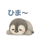 毎日使える♪ペンギンの日常スタンプ（個別スタンプ：5）